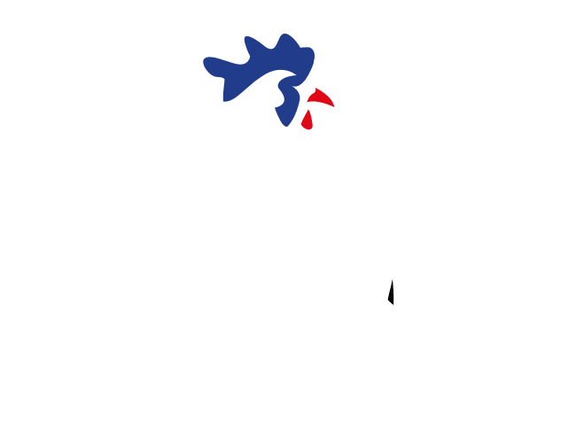 SKIA LOGO - Quimperlé, Lorient